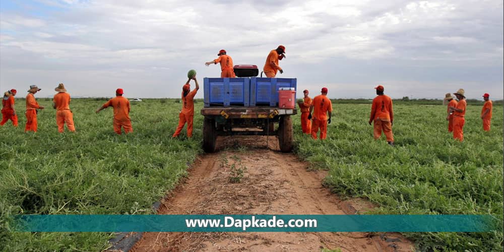 مجازات های تکمیلی و نحوه اجرای آن