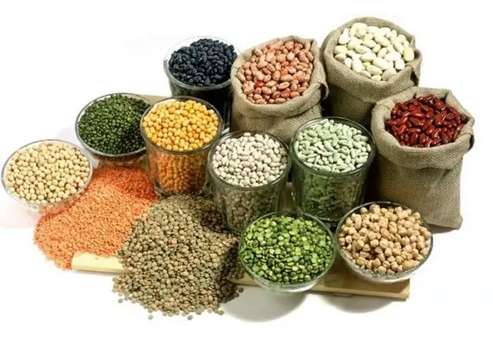 مال مثلی چیست؟