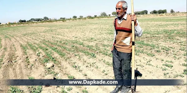  دانلود نمونه قرارداد صلح نامه عمری زمین کشاورزی